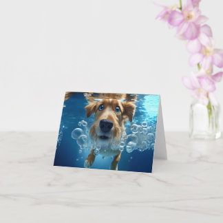 水中の犬が泳いで青い目を泡立てる空白の カード