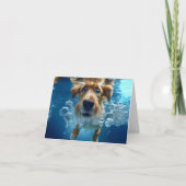 水中の犬が泳いで青い目を泡立てる空白の カード (正面)