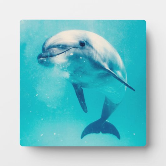 水中の瓶詰イルカ フォトプラーク (正面)