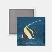 水中の生活;魚:ムーア風の偶像(ザンクロ) マグネット (正面/裏面)