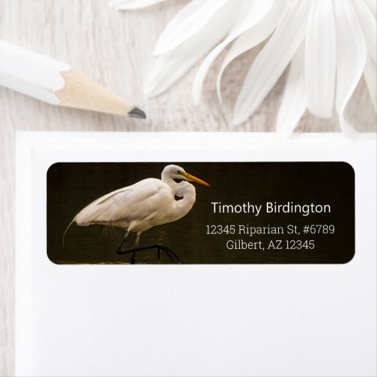 水中の素晴らし一般的な白いアゲワシの鳥の反射 ラベル (インサイチュ)