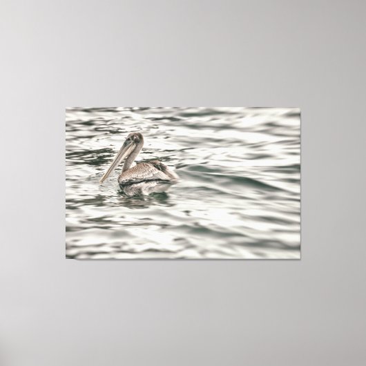 水中の茶色のペリカン キャンバスプリント (正面)