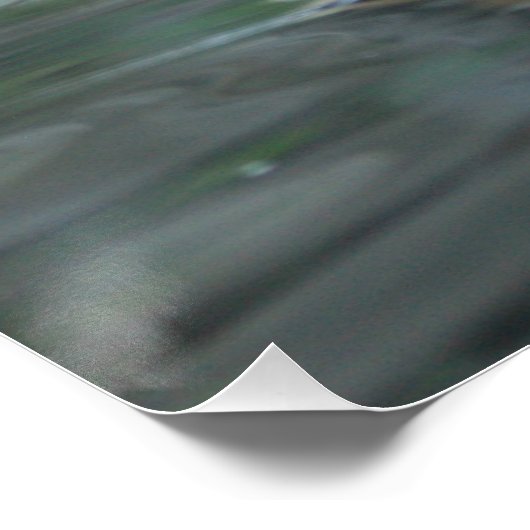 水中の虎 ポスター (コーナー)