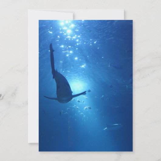 水中の青い海をテーマにした美結婚しい 招待状 (裏面)