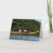 水中の馬 – コスタリカ カード (正面)