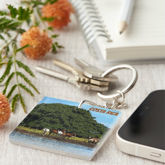 水中の馬 – コスタリカ キーホルダー (正面右)