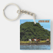 水中の馬 – コスタリカ キーホルダー (正面)