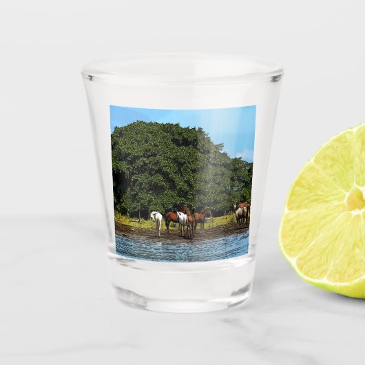 水中の馬 – コスタリカ ショットグラス (正面)