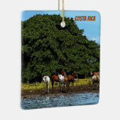 水中の馬 – コスタリカ セラミックオーナメント (右)