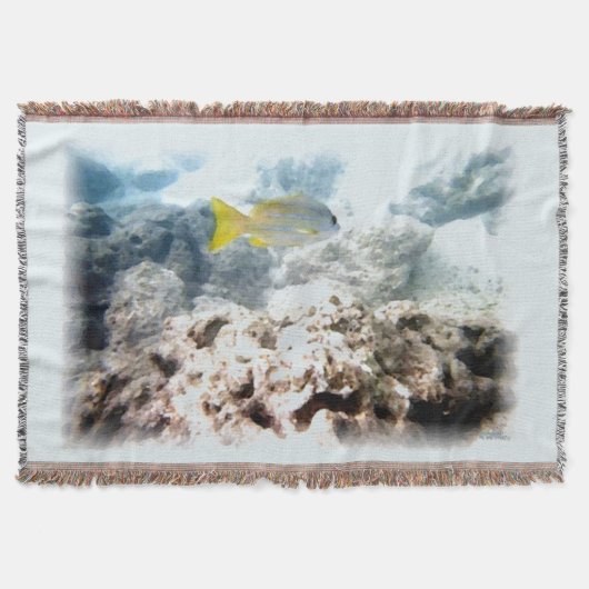 水中の魚 スローブランケット (正面)