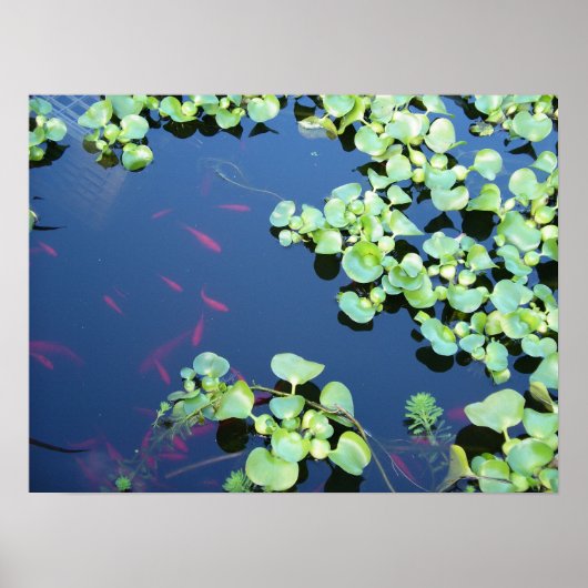 水中の魚 ポスター (正面)