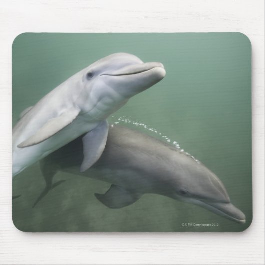 水中の2イルカ マウスパッド (正面)