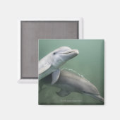 水中の2イルカ マグネット (正面/裏面)