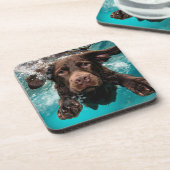 水中よくはしゃぐ泳ぐチョコレートラブラドール コースター (左側)