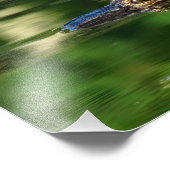 水中アリゲーター フォトプリント            (角)