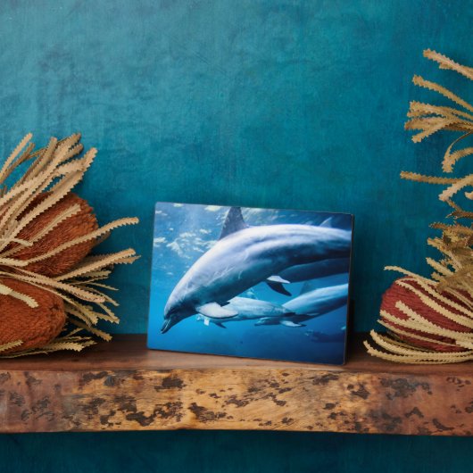 水中イルカ類 フォトプラーク (側面)