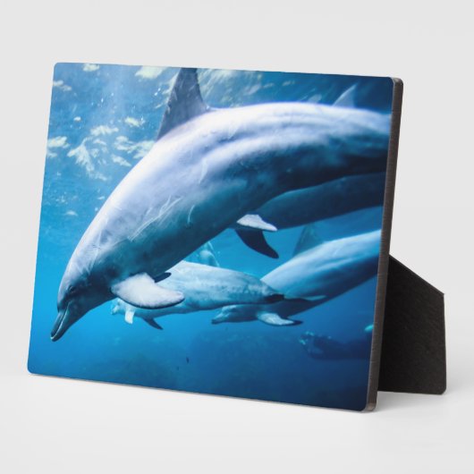 水中イルカ類 フォトプラーク (側面)