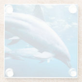 水中イルカ ガラスコースター (裏面)