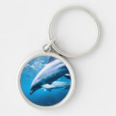 水中イルカ キーホルダー (正面)