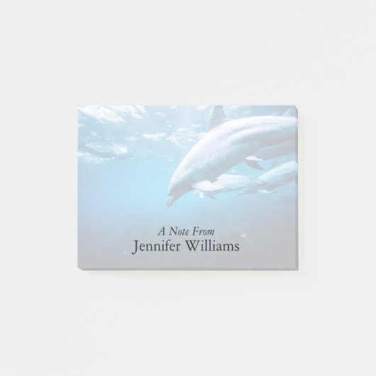 水中イルカ ポストイット (正面)