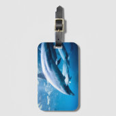 水中イルカ ラゲッジタグ (正面縦)