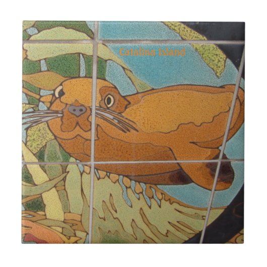 水中カタリナ島セラミックタイル顔 タイル (正面)