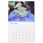 水中カレンダー – パラオ カレンダー (1月 2026)