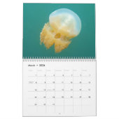 水中カレンダー – パラオ カレンダー (3月 2026)