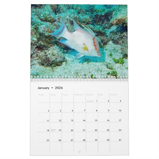 水中カレンダー – ロアタン、ホンジュラス カレンダー (1月 2026)