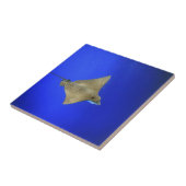 水中ガラパゴスを泳ぐポチドワシの光線 タイル (側面)