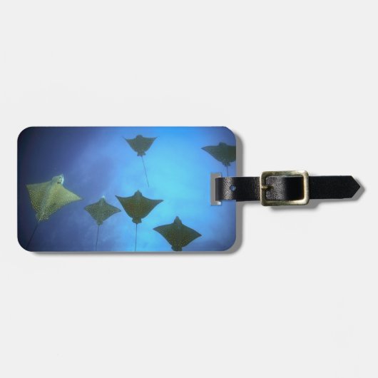 水中ガラパゴスを泳ぐポチワシ ラゲッジタグ (正面横)