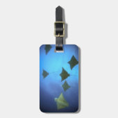 水中ガラパゴスを泳ぐポチワシ ラゲッジタグ (正面縦)