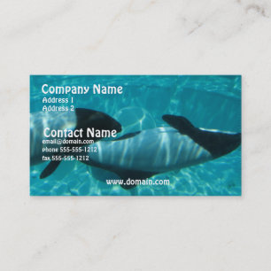 水中クジラの名刺 名刺