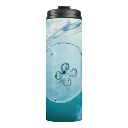 水中クラゲ類 タンブラー (正面)