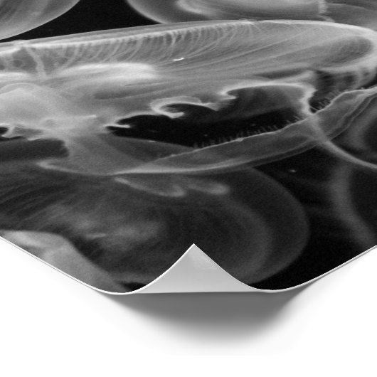 水中クラゲ ポスター (角)