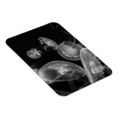 水中クラゲ マグネット (右側)