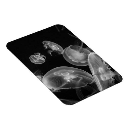 水中クラゲ マグネット (右側)