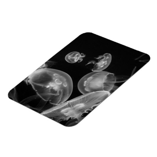 水中クラゲ マグネット (左側)