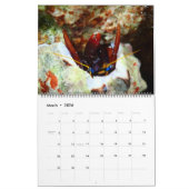 水中グアム24か月カレンダー カレンダー (3月 2026)