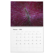 水中グアム24か月カレンダー カレンダー (2月 2026)