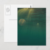 水中サンセット ポストカード (正面/裏面)