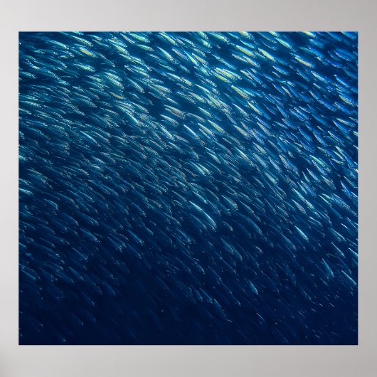 水中シーフィッシュスクール抽象芸術 ポスター (正面)