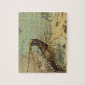 水中シーライフエビ、ヴィンテージ海動物 ジグソーパズル (縦)