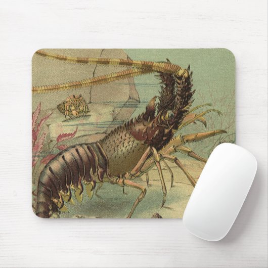 水中シーライフエビ、ヴィンテージ海動物 マウスパッド (マウス)