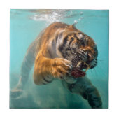 水中トラ タイル (正面)