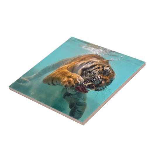 水中トラ タイル (側面)