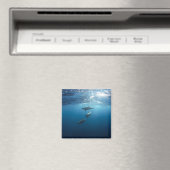 水中ドルフィンファミリー マグネット (インサイチュ (食洗機))