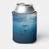 水中ドルフィンファミリー 缶クーラー (缶裏面)