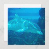 水中ドルフィン招待状 招待状 (正面/裏面)