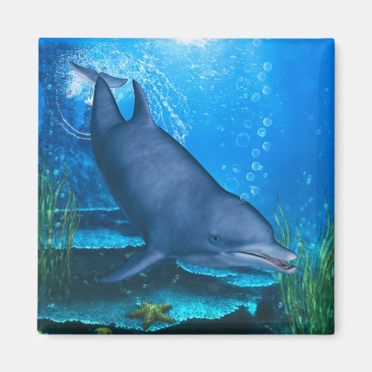 水中ドルフィン マグネット (正面)